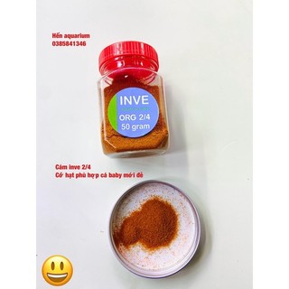 Cám Thái Inve 2/4 siêu mịn cho cá bột mới nở