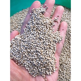 Hạt tía tô dành cho chim cảnh gói chiết lẻ 500g và 1kg