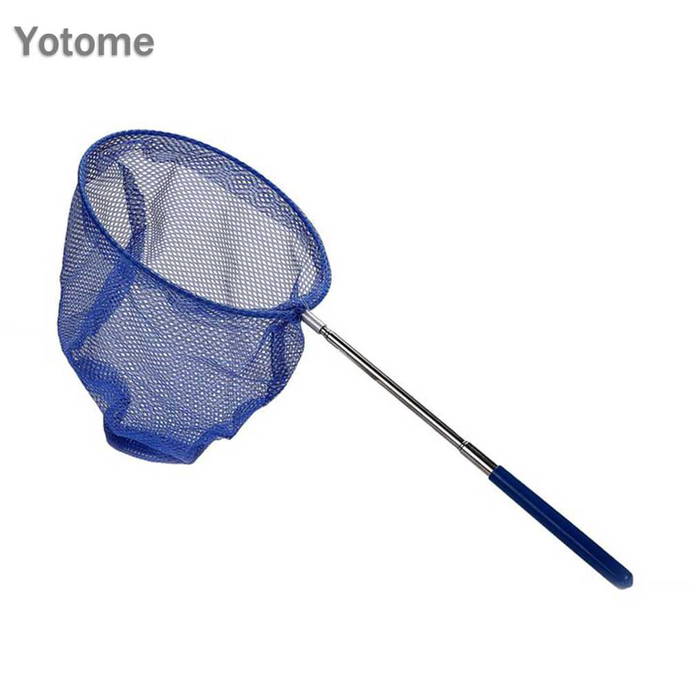 Vợt Lưới Bắt Bướm, Côn Trùng Cho Trẻ