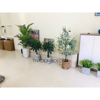 Cây giả- cây kim ngân giả 85cm trang trí cao cấp loại 1