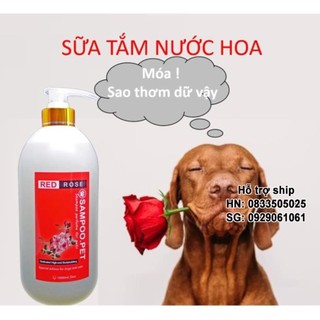 Sữa Tắm Chó mèo Sampoo.pet thơm quý phái -Sữa tắm nước hoa cho thú cưng Thơm lâu tận 22h