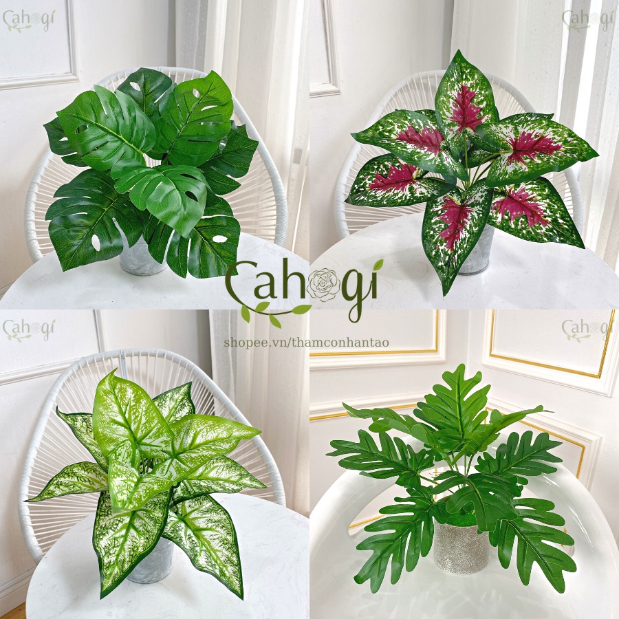 Cây Giả - Cây Lá Lược-Trầu Bà Thanh Xuân - Monstera - Khoai Môn Đốm Loang- Vạn Lộc -Bạch Mã Hoàng Tử 30cm