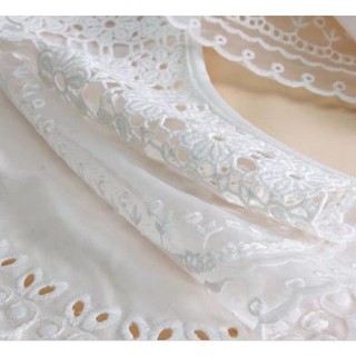 Cổ áo rời dễ thương