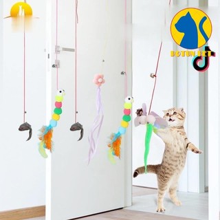 Cần câu meo meo