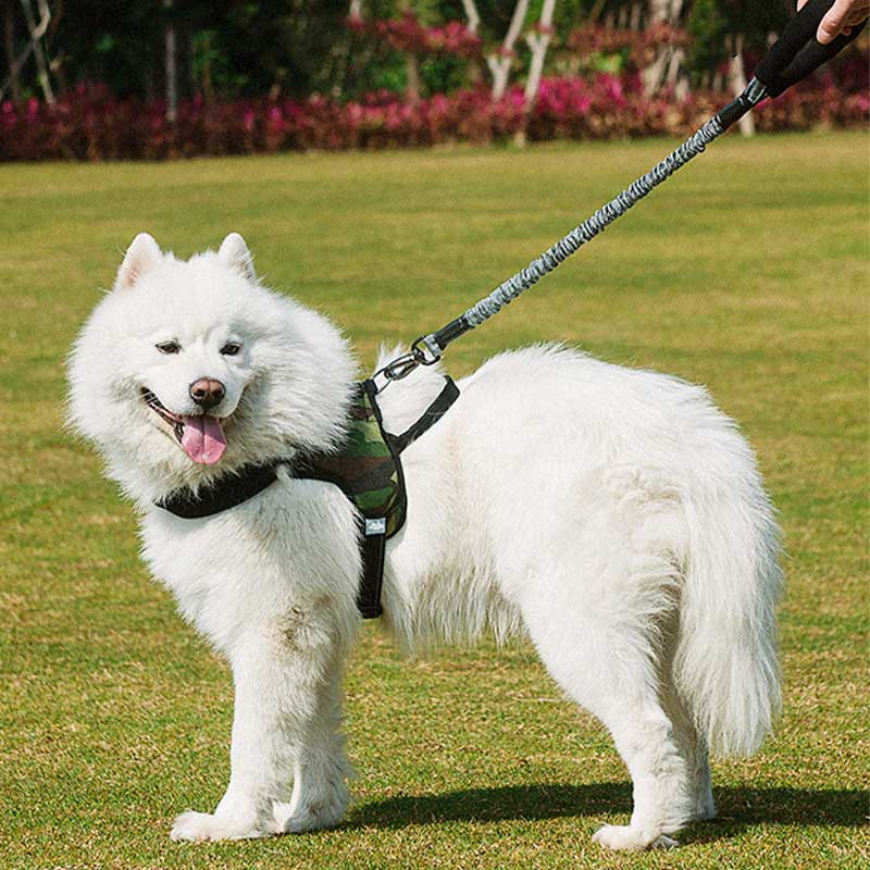 HamshMoc Dây Dắt Chó Đi Dạo Đàn Hồi Có Đệm Điều Khiển Kích Thước Vừa Và Lớn HamshMoc