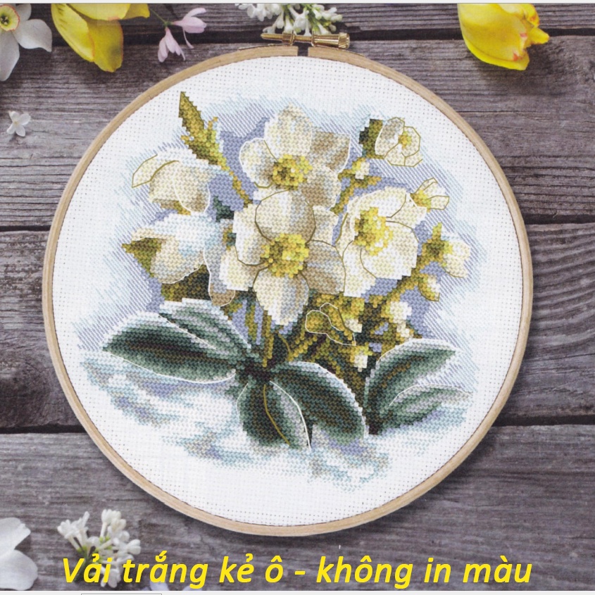 Bộ vật liệu tranh thêu chữ thập mẫu hoa lan 3001 - Vải trắng không in Aida 11ct 25 x 24 cm