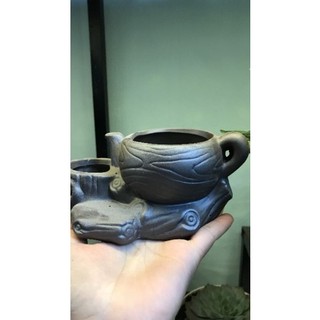 các mẫu chậu trồng cây