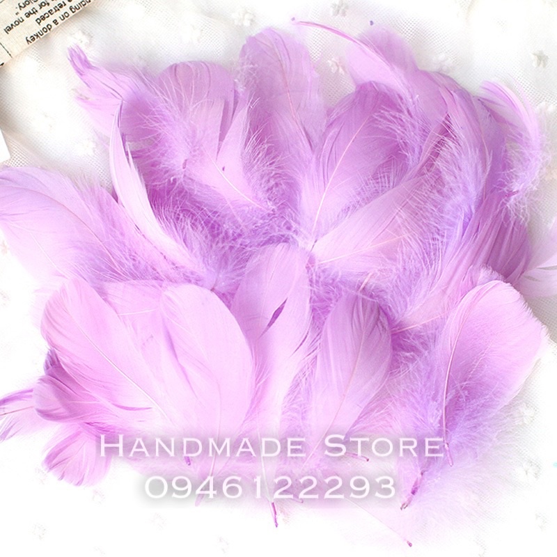 Lông vũ nhiều màu  🌈🌈🌈🌈