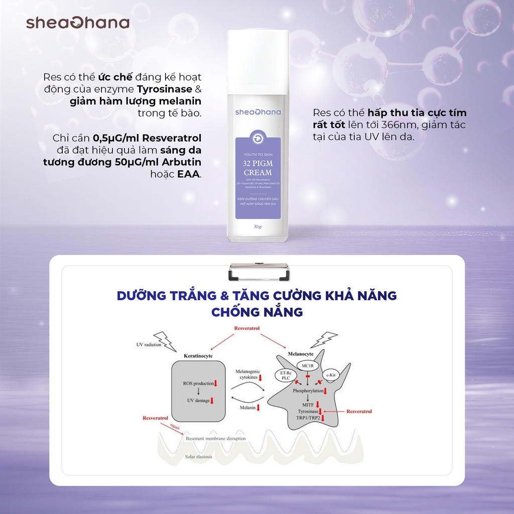 Kem dưỡng chuyên sâu mờ nám sáng mịn da SheaGhana 32 Pigm Cream 30gr
