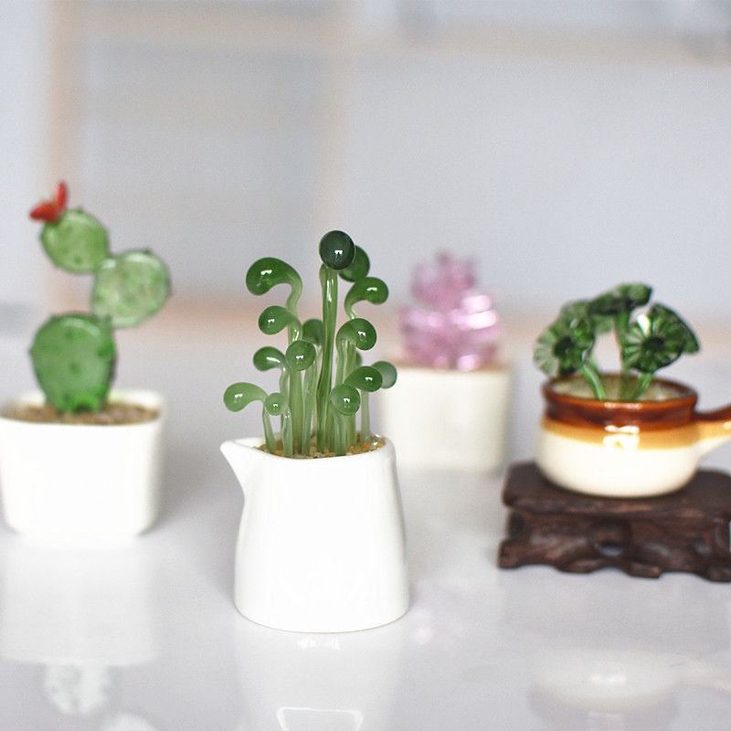 Chậu Kính Trồng Cây Mọng Nước / Hạt Đậu Xương Rồng Nhỏ Sáng Tạo Làm Quà Tặng Giao Hàng Nhanh Chóng