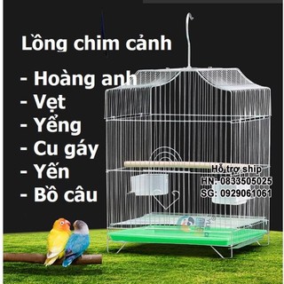 Lồng chim inox size 55cm chuồng dùng cho mọi loại chim cảnh đủ phụ kiện