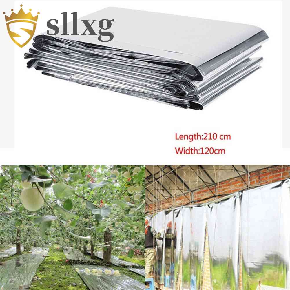 Tấm Phim Phản Quang 210x120cm Phủ Cây Trồng Trong Nhà Kính