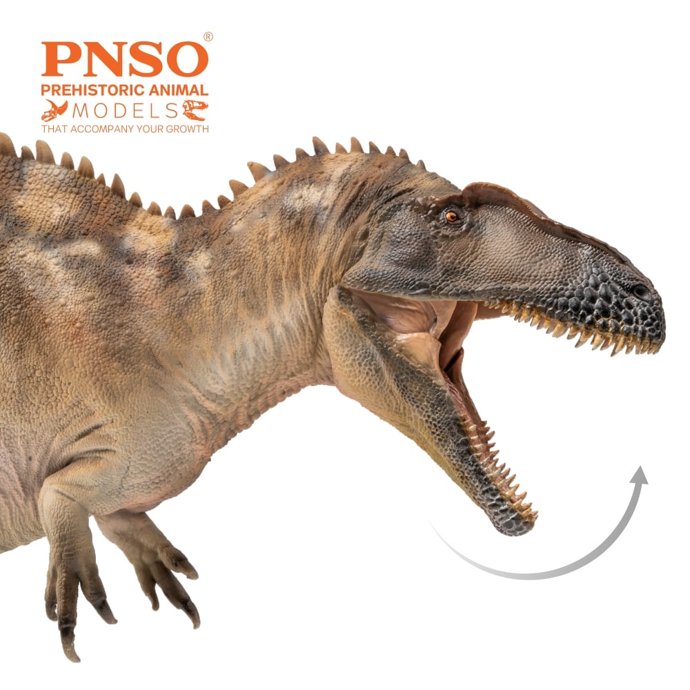 Mô Hình Khủng Long ACROCANTHOSAURUS FERGUS Tỉ Lệ 1/35 Chính Hãng PNSO