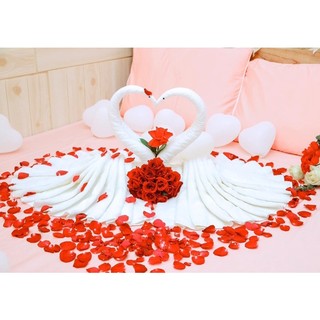 THIÊN NGA TRANG TRÍ PHÒNG CƯỚI (1 đôi GẤP SẴN)