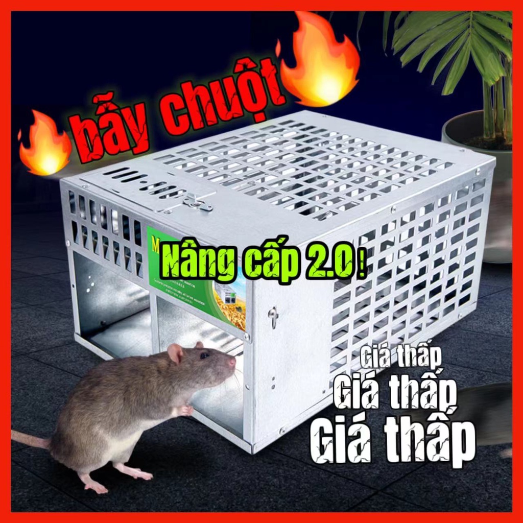 【Hàng Việt Nam Bán Sỉ】Bẫy Chuột Tự Động Thông Minh Bẫy chuột lồng có thể tái sử dụng Mouse Trap Có hiệu quả bẫy chu