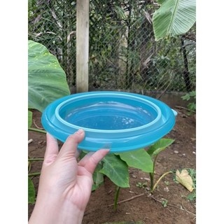 Thau trộn mồi gấp gọn thông minh