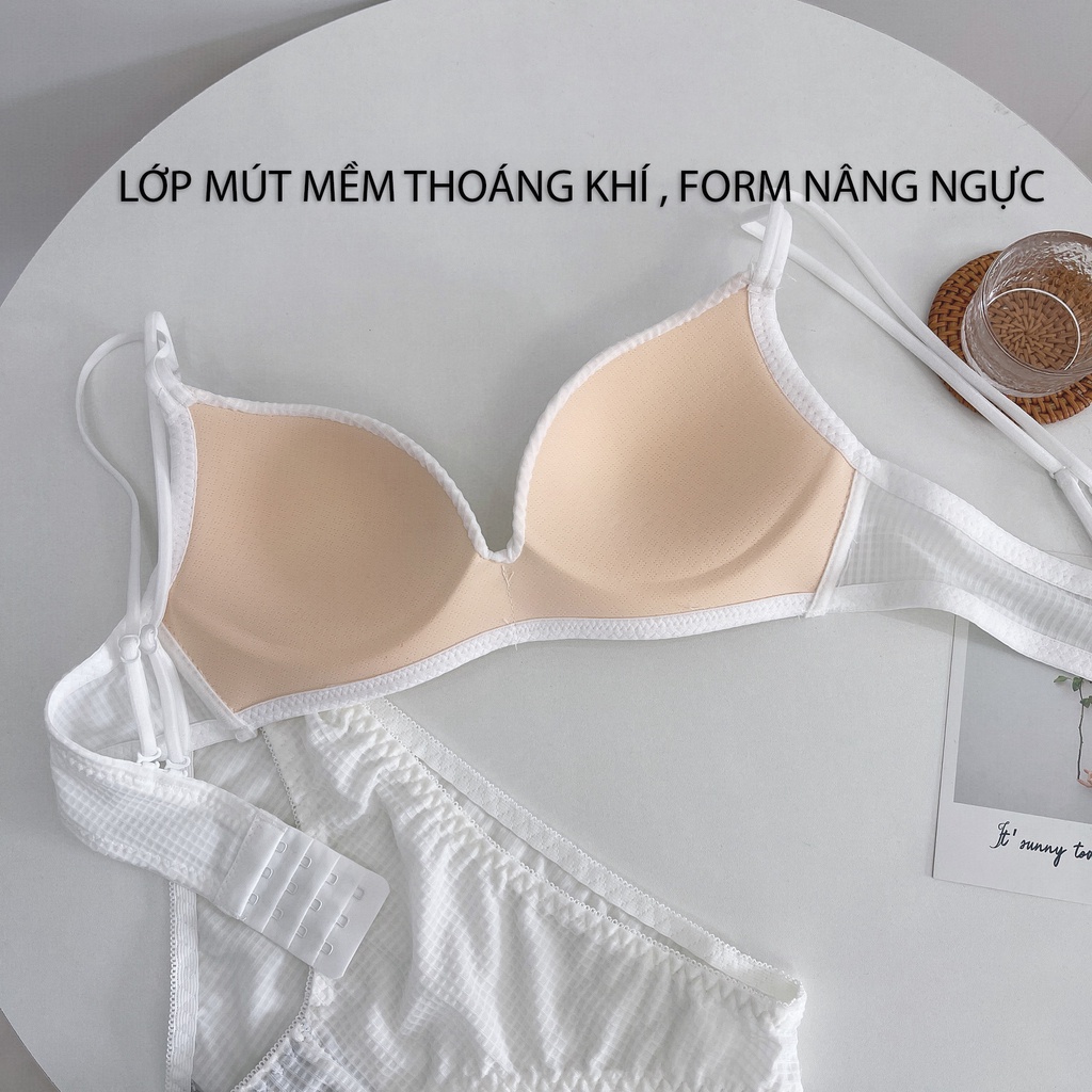 Áo ngực nữ đúc su không gọng Ame Beauty, áo lót nữ nâng ngực quyến rũ mã ANM-08