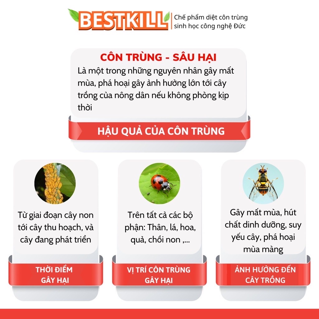 COMBO 5 Chai Thuốc Diệt Côn Trùng BESTKILL Kinh Bắc, Trừ Sâu Bọ, Rầy Rệp, Sâu Ăn Lá, Ấu Trùng Trên Lá Và Dưới Đất