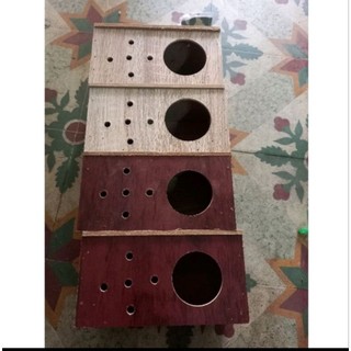 ổ tổ đẻ cho chim yến phụng