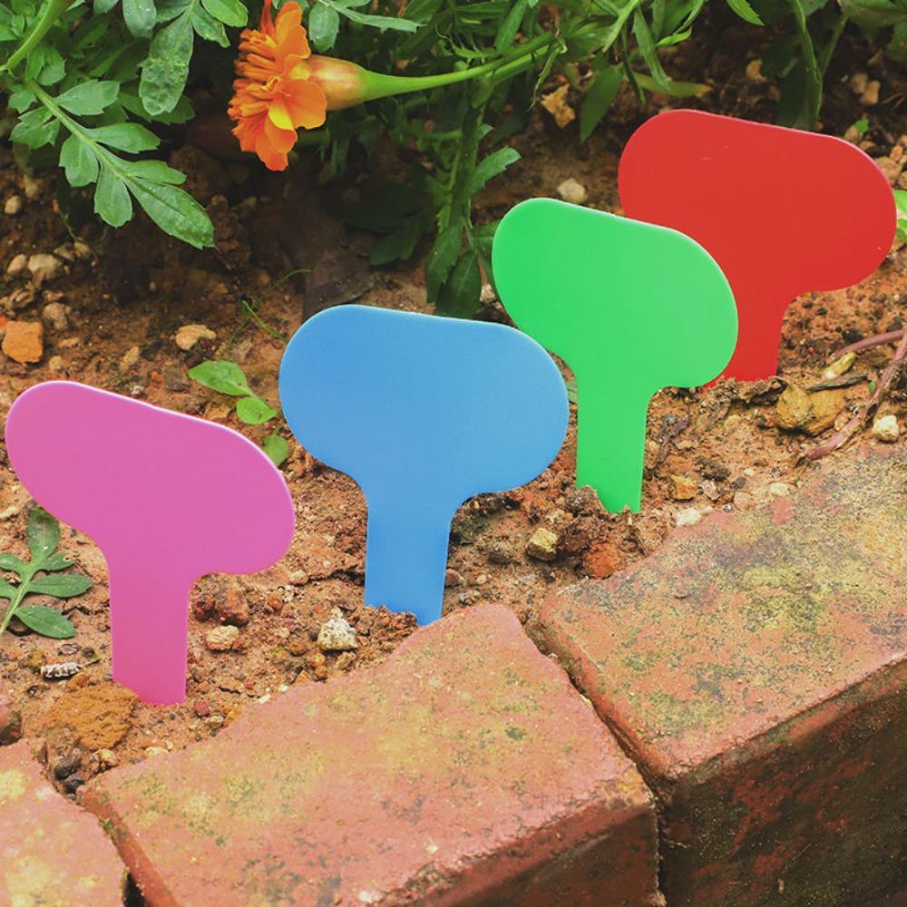 Set 1 100 Thẻ Nhựa Phân Loại Cây Trồng Tiện Dụng