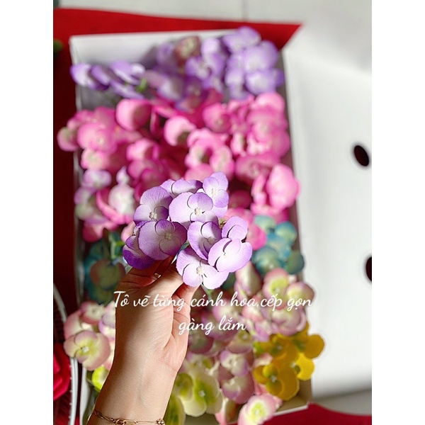 hoa tú cầu chùn nhỏ 12 hoa