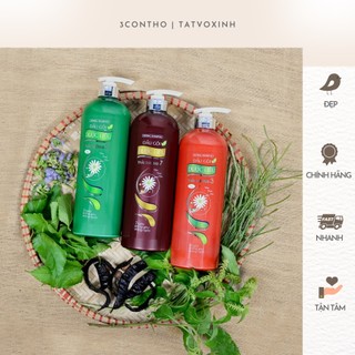 DẦU GỘI/ XẢ DƯỢC LIỆU THÁI DƯƠNG 3 HƯƠNG HOA 1100ML, HƯƠNG LÁ
