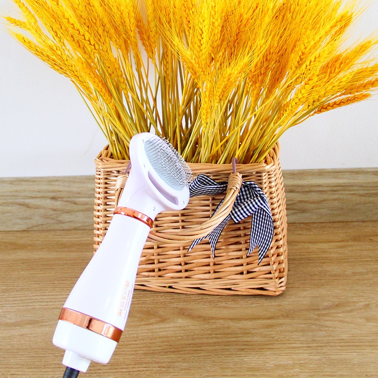 Máy sấy lông chó mèo kèm lược dùng cho thú cưng nhỏ PH820