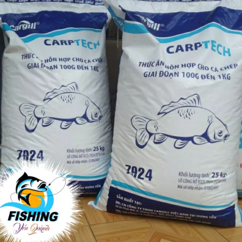 Bài cám Vàng khè câu cá Chép, trắm, trôi to