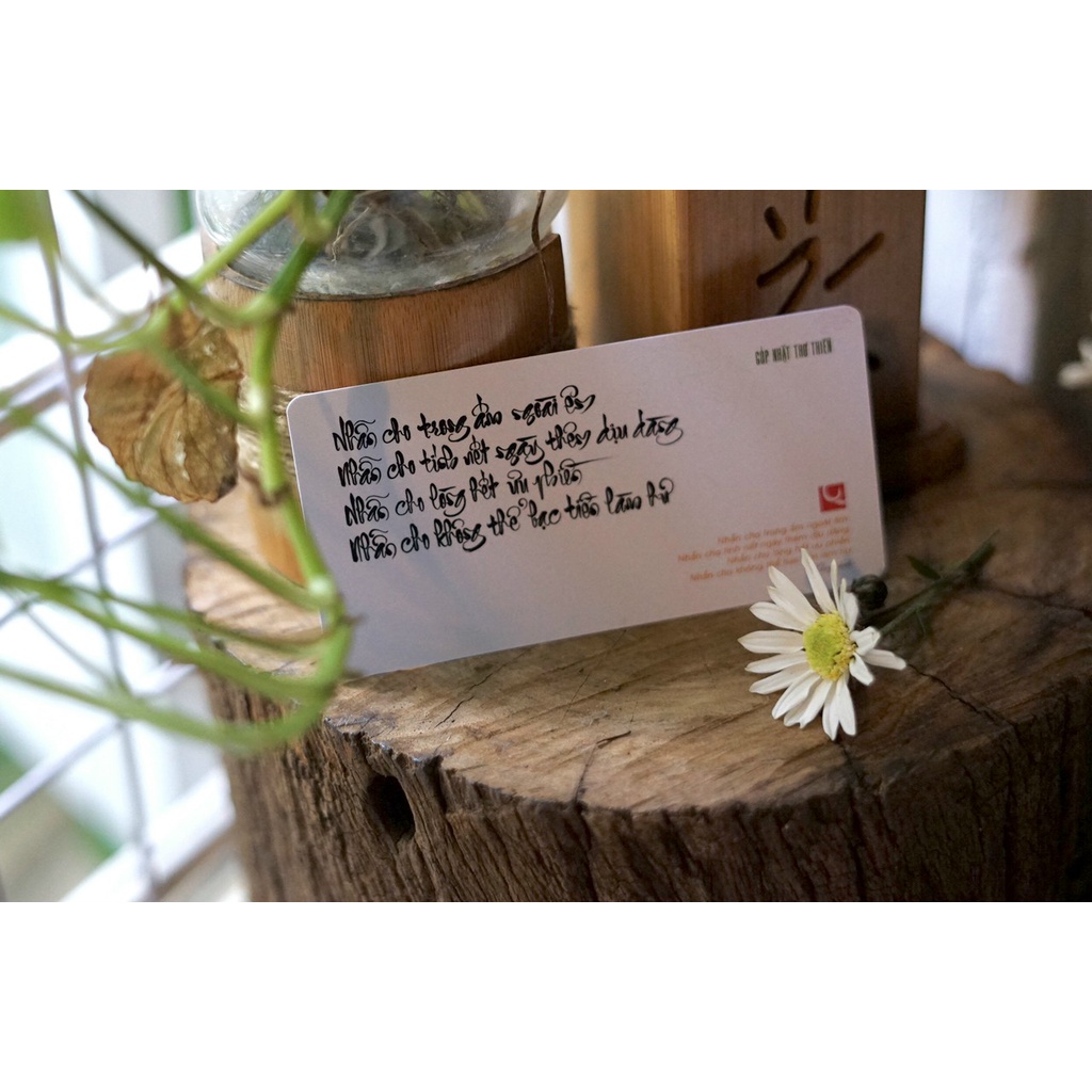 Bộ bài thư pháp GÓP NHẶT THƠ THIỀN | Bộ 55 thẻ |  7cm x 11cm | Lá duyên
