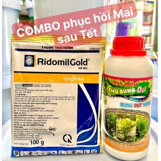 COMBO phục hồi Mai sau Tết phục hồi nhanh mạnh an toàn hiệu quả RidomilGold+Bung đọt maxroot