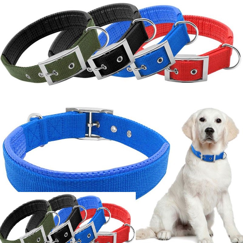 Vòng cổ chó kiểu có đệm cổ dành cho thú cưng