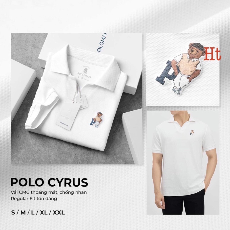 Áo polo 5 mẫu chữ P H2A798