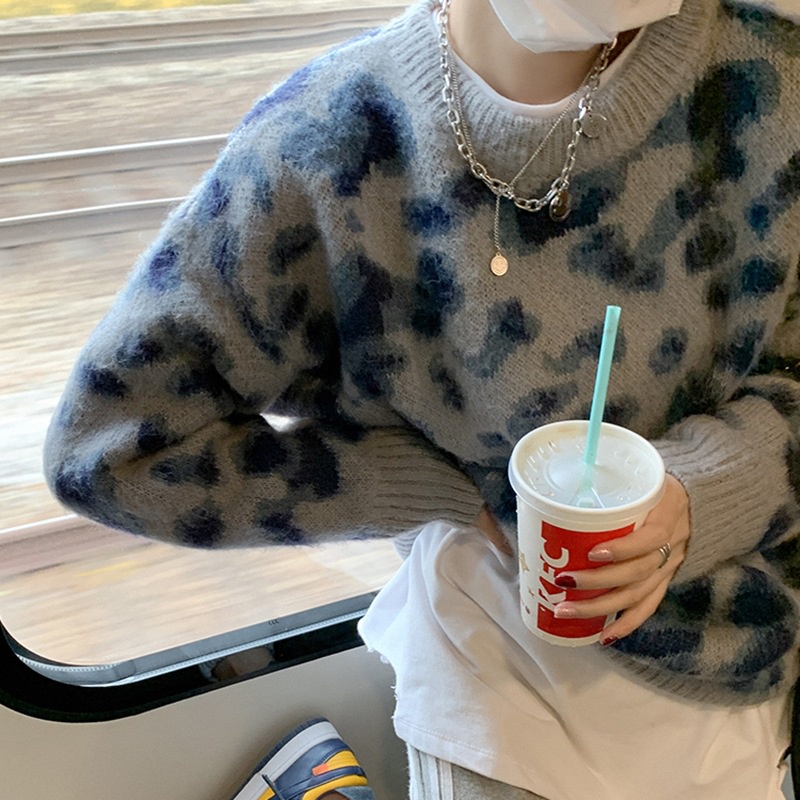 Áo Khoác Cardigan Chui Đầu Dáng Rộng In Họa Tiết Da Báo Kiểu Hàn Quốc Thời Trang Xuân Thu Cho Nữ