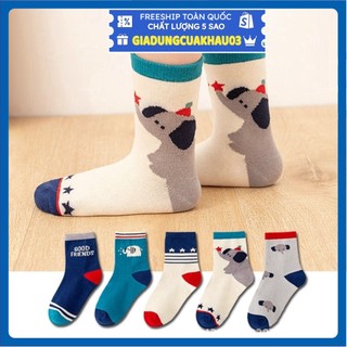 Set 5 đôi tất cao cổ thu đông dày dặn hoạ tiết đáng yêu cho bé t2