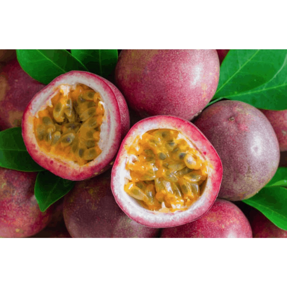 Cây Giống Chanh Dây Thái Lan