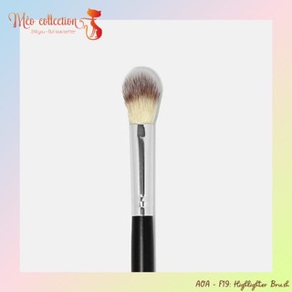 Cọ đánh highlight mũi - mắt - cằm AOA F19: Highlighter Brush