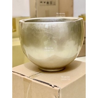 bình hoa composite cắm lan ang 2
