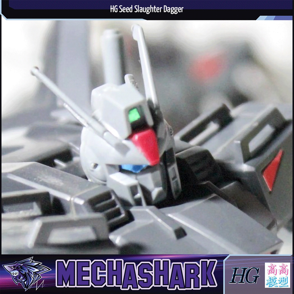 Mô Hình Lắp Ráp HG Seed 1/144 Slaughter Dagger - TT Hongli High Grade Fighter 43 - Robot Gundam vũ trụ SEED Destiny (CE)