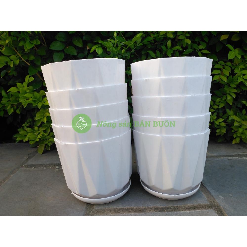3 Chậu nhựa Múi Khế trắng trơn 140x115 (miệng x cao) có kèm Đĩa Lót, trồng xương rồng, sen đá, cây cảnh mini để bàn