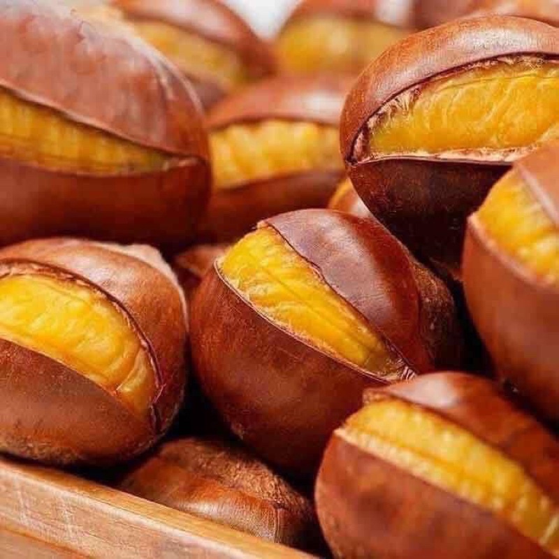 𝐇𝐀̣𝐓 𝐃𝐄̉ 𝐇𝐀̂́𝐏 𝐆𝐄𝐍𝐒𝐄𝐈𝐃𝐀TỰ NHIÊN 260G