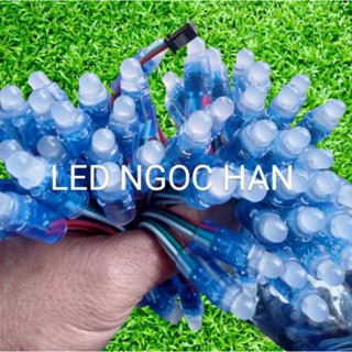 50 Led full color 1903 làm pháo hoa (khoảng cách bóng 8cm)