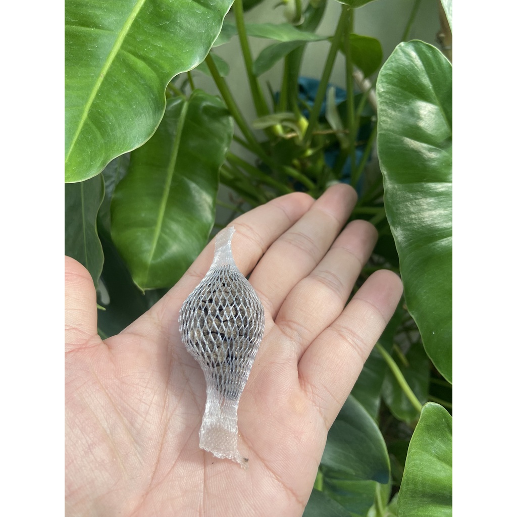 Phân hữu cơ dạng túi treo lưới Trimix N1 , phân viên tan chậm , dùng cho lan và kiểng lá ! Túi treo 12gram !