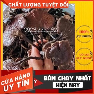 Nấm lim xanh rừng tự nhiên 1 kg giá sỉ