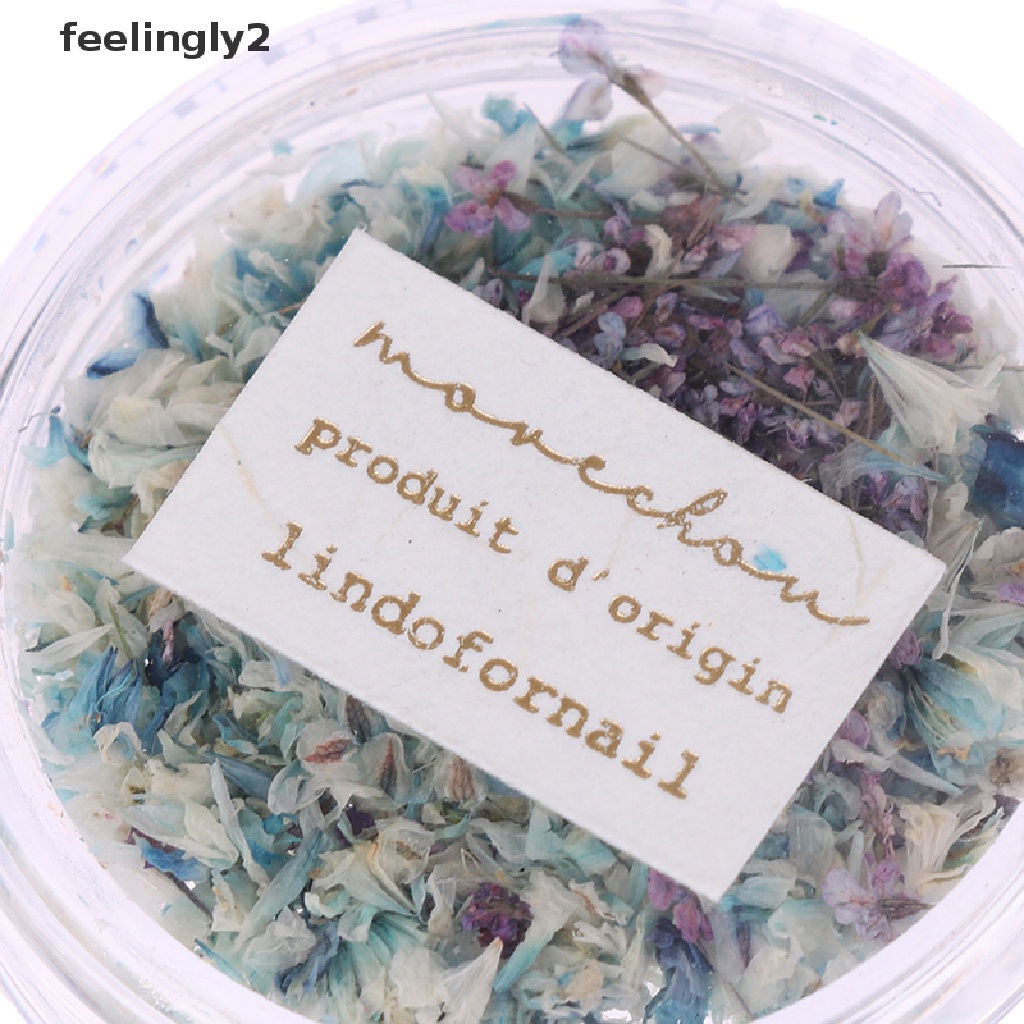 [Hàng Có Sẵn] Hộp Hoa Khô 3D Trang Trí Móng Tay Nghệ Thuật Tinh Tế DIY Tinh Tế