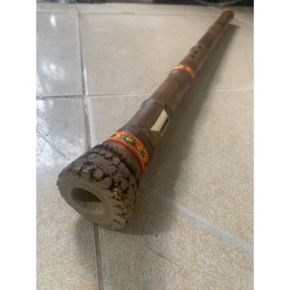Sáo mèo nam gốc trúc