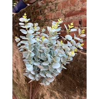 cành lá táo 3d 3nhánh _ hoa lụa trang trí