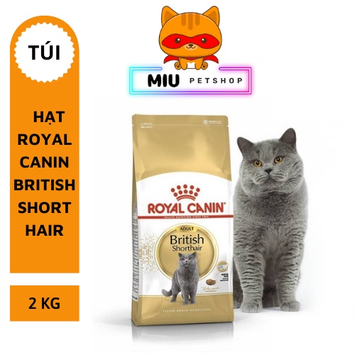 Hạt cho mèo Royal Canin Brishtish Shorthair | Hạt dinh dưỡng cho mèo lông ngắn Anh.