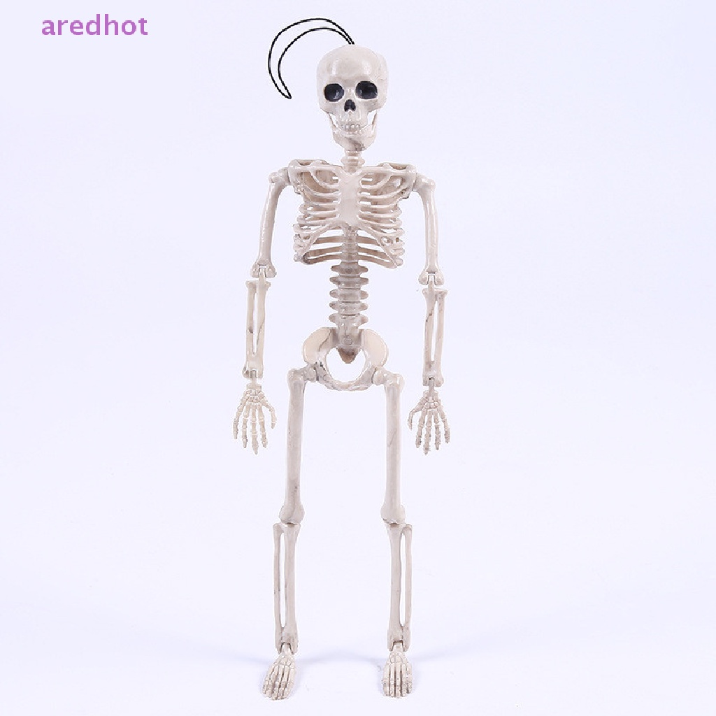 Bộ Xương Người Đáng Sợ Trang Trí Halloween Mới