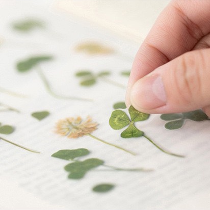 Sticker MỜ hoa vntage trang trí sổ ta, kraft book (SM17)