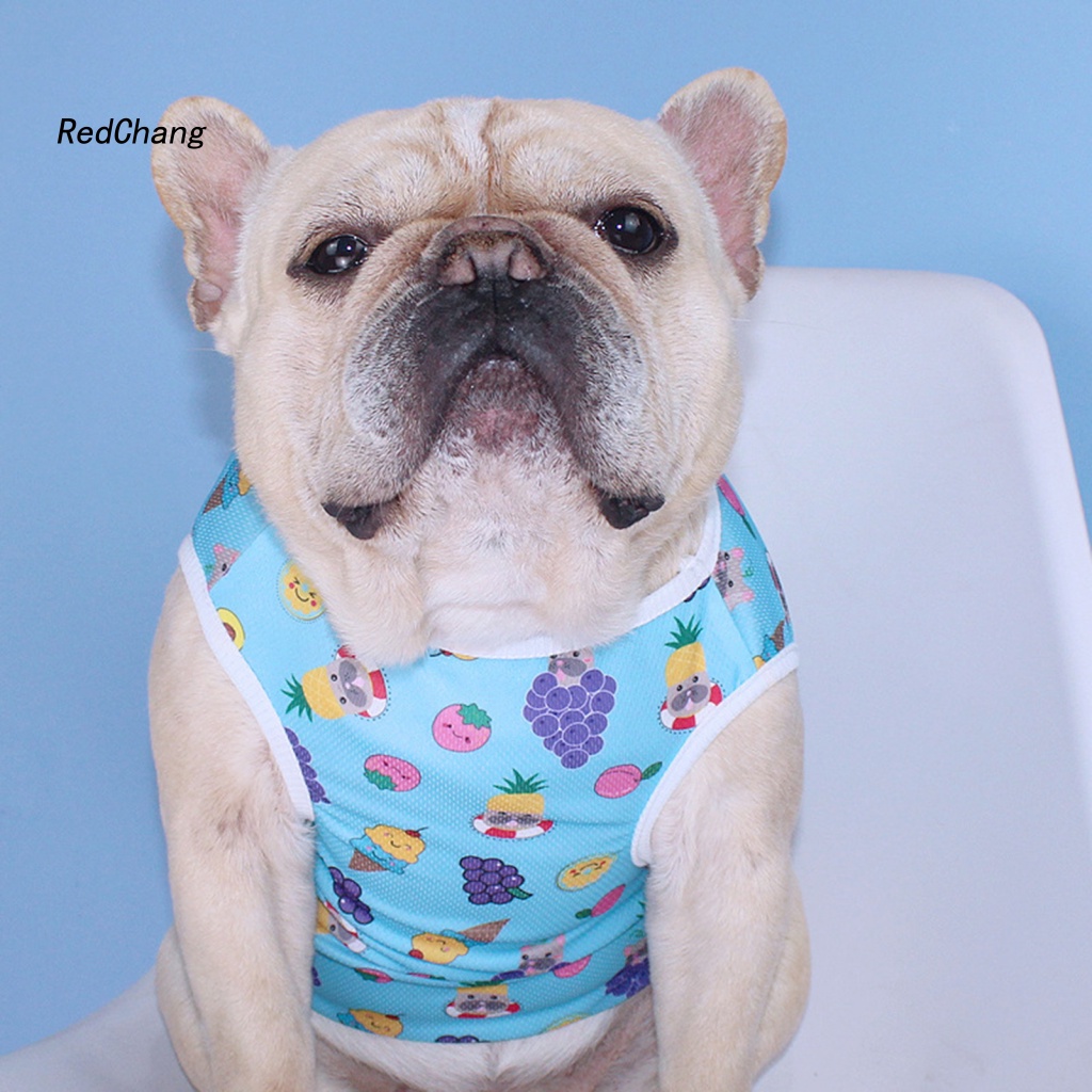 Rc ~ Áo Vest In Hình Động Vật Trái Cây Chống Mài Mòn Cho Cún Cưng